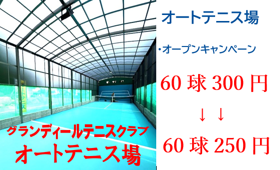 期間限定！lkサロンテニスブレス　3ct WG 定価957,000円 期間限定！lkサロンテニスブレス 3ct WG 定価957,000円 - メルカリ